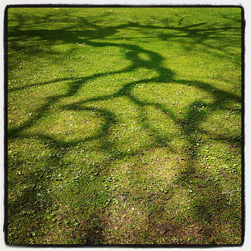 08_IMG_20130421_143848