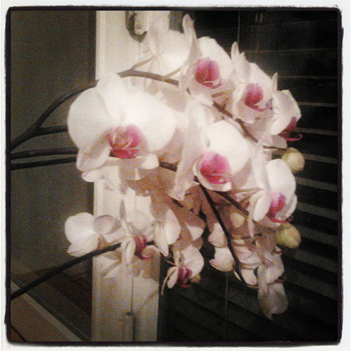 39_IMG_20130526_185057