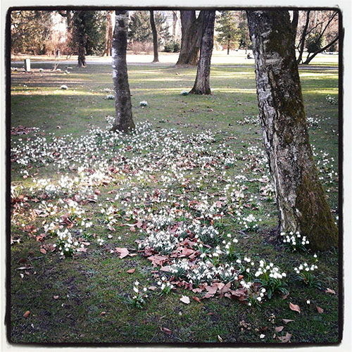 32_IMG_20130527_125307