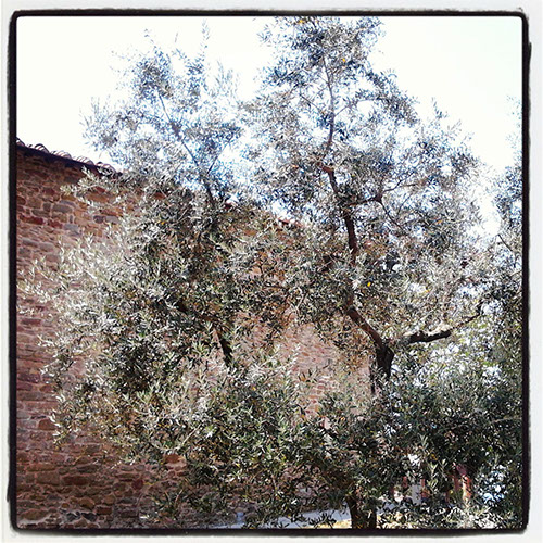 16_IMG_20130726_154657