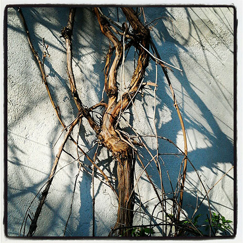 19_IMG_20120417_173011