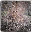26_IMG_20140125_164401