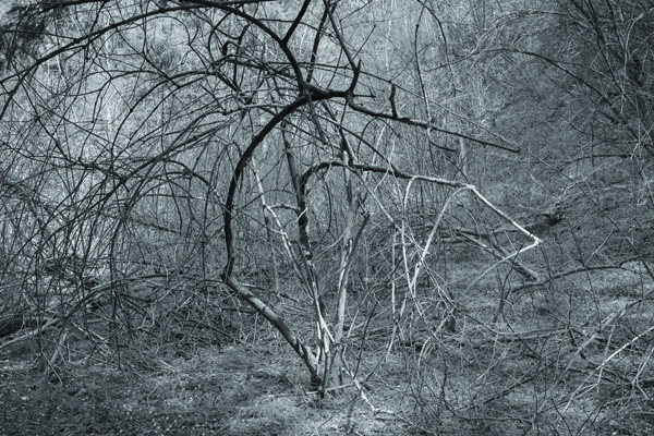 Andrea Berger Fotografie