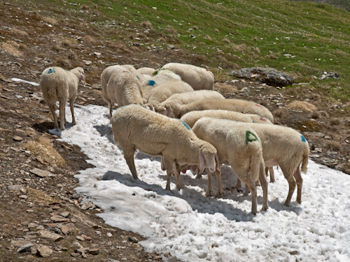 41Ötztal_Elvin#0458_Gaisbergtal